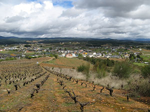 Cabañas Raras