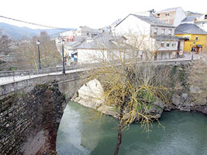 Puente de Domingo Florez