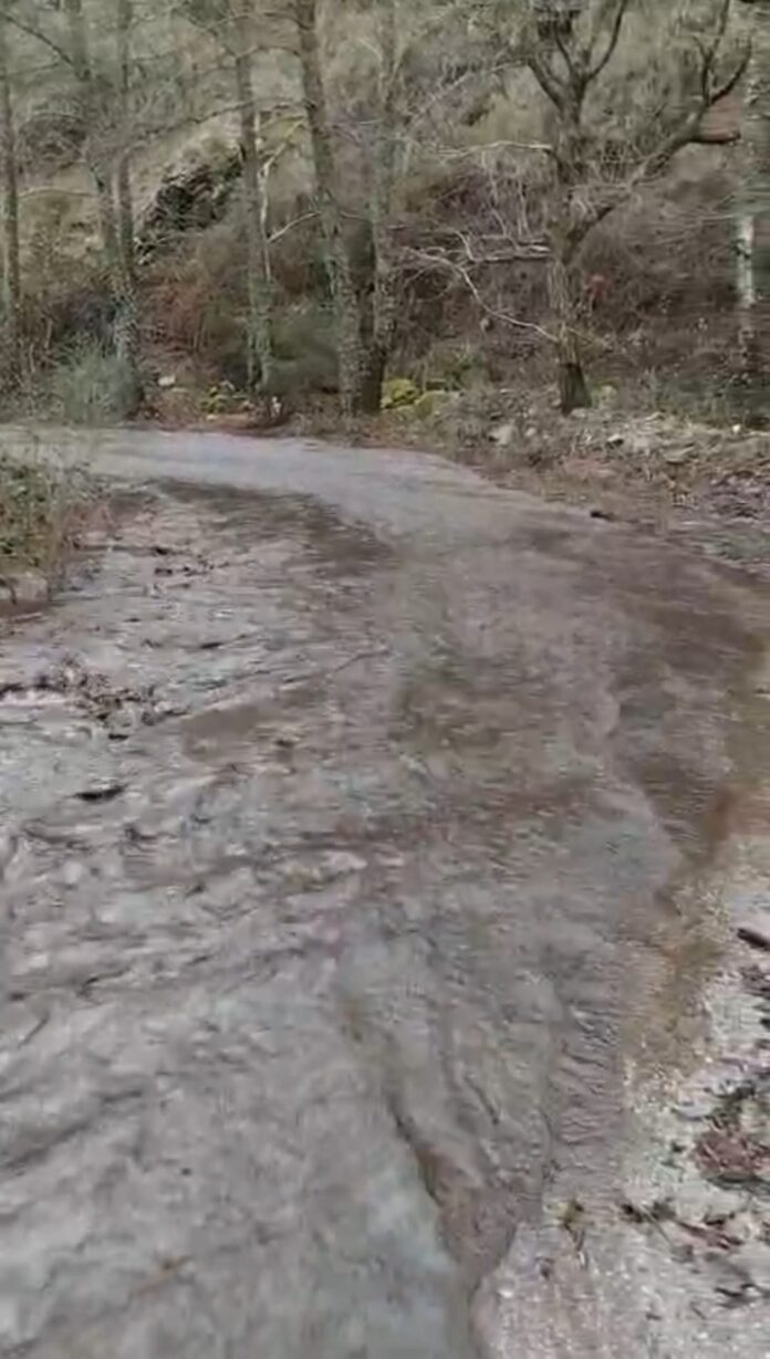 WhatsApp Image 2026-02-15 at 17.09.26